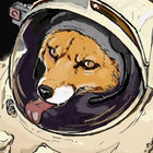Fox l Frank thumbnail