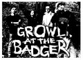 Growl at the Badger image