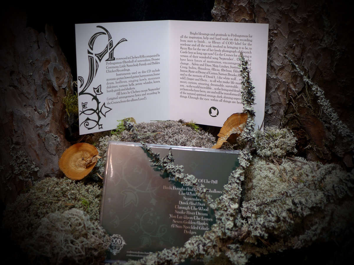 Eye Of Ivy Thorn And Moss Arrowwood Little Somebody Records Eye Of Ivy Thorn And Moss Arrowwood Little Somebody Records