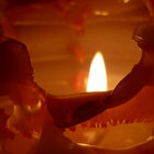 footprint51 thumbnail