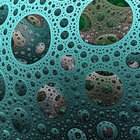 Protophoton thumbnail