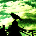 PW thumbnail