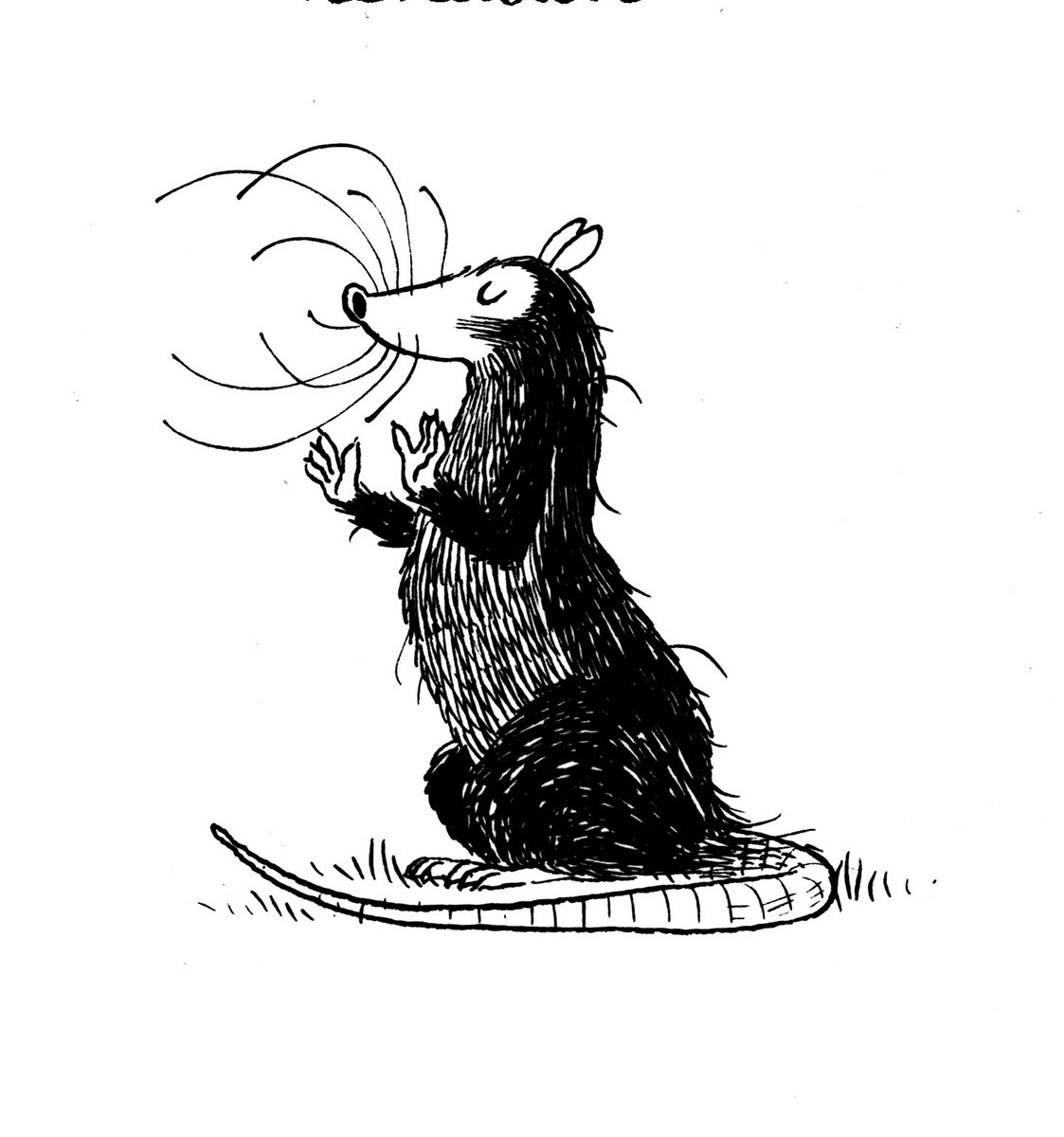 Le Blues De L Araignee Rat Et Les Animaux Moches Le Blues De L Araignee Rat Et Les Animaux Moches