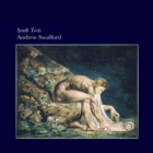 Magnificent Little Dudes vol. 1 | Chihei Hatakeyama & Shun