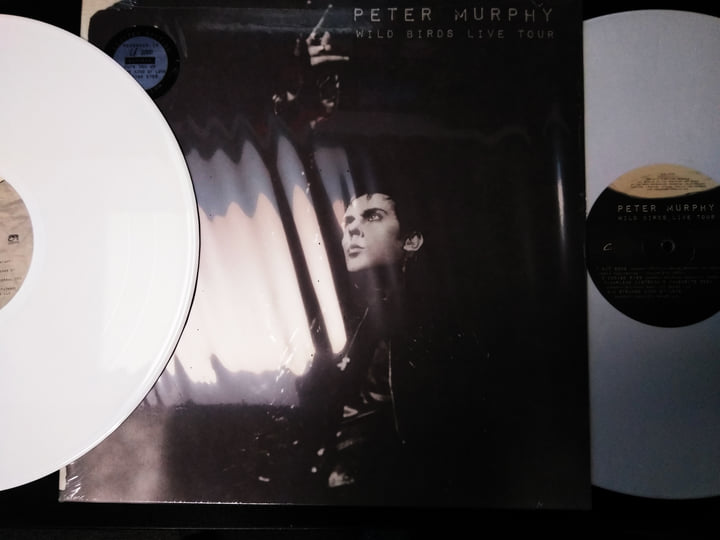 Wild Birds Live Tour | Peter Murphy