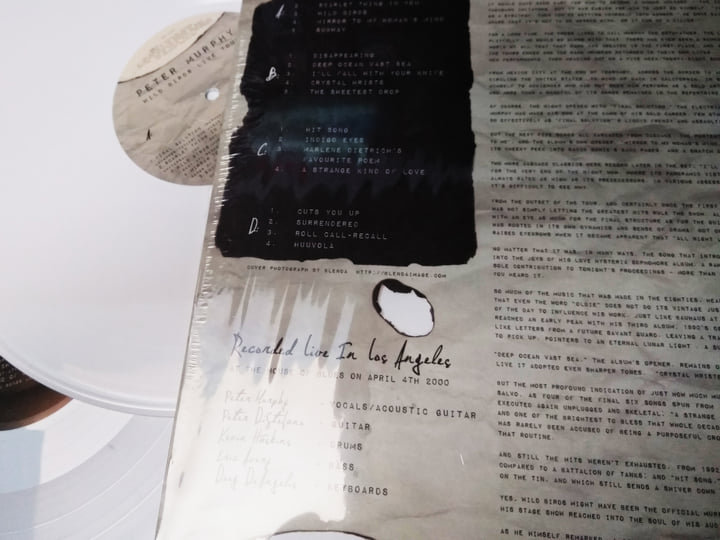 Wild Birds Live Tour | Peter Murphy