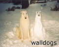 walldogs image