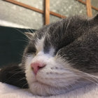 風の谷の里 thumbnail