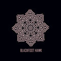Blackfoot Hawk image
