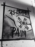 Rectum of Pain image