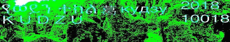 Kudzu — Photo