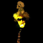 Kyles Rocks thumbnail