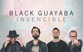 Black Guayaba image