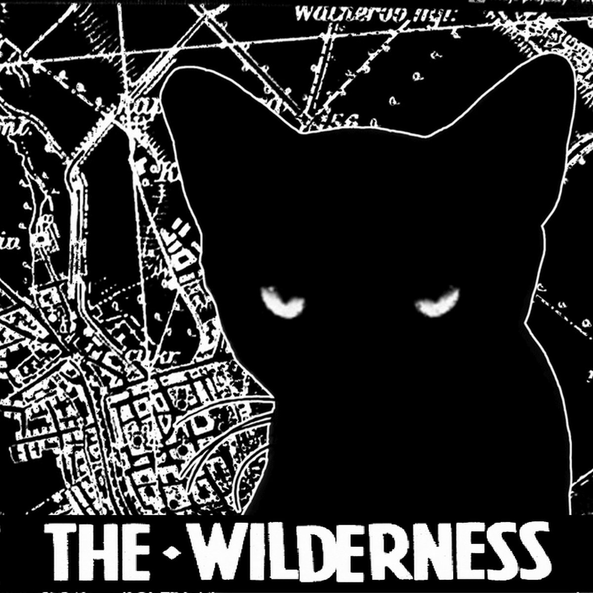 Digital Wilderness by F.L. Ciano Digital Wilderness by F.L. Ciano