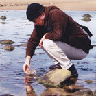 sonotaphonomy thumbnail