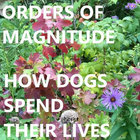 insanewanderer thumbnail