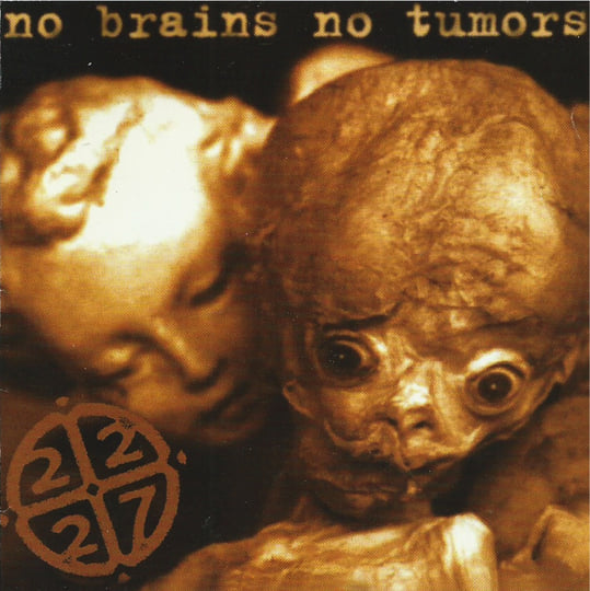 No Brains No Tumors - (1995/01/01) Full Album | 2227 | Guy SEGERS