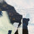 Bandcamp profile picture for @articulate