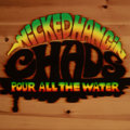 Wicked Hangin Chads image