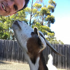 TRENT BROOKS thumbnail