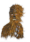Sky Wookie image