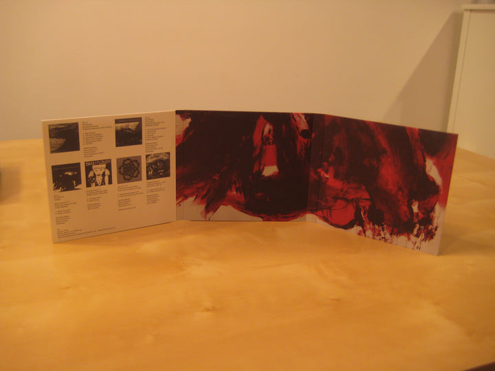 洋楽 Skullflower 1st 12EP Carved Into Roses/Infinityland/Singles | Skullflower | VHF