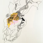 Sarah King thumbnail