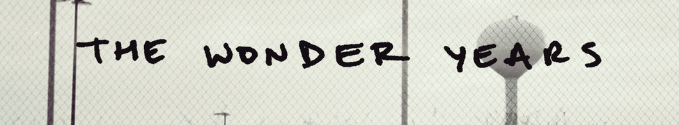 The Upsides Deluxe Edition The Wonder Years The Upsides Deluxe Edition The Wonder Years