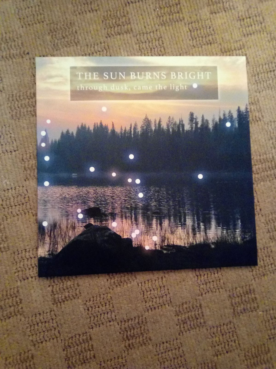 You Can T See The Forest For The Trees The Sun Burns Bright