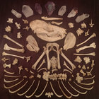 ghost-possum thumbnail