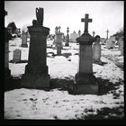 Philip Gorman thumbnail
