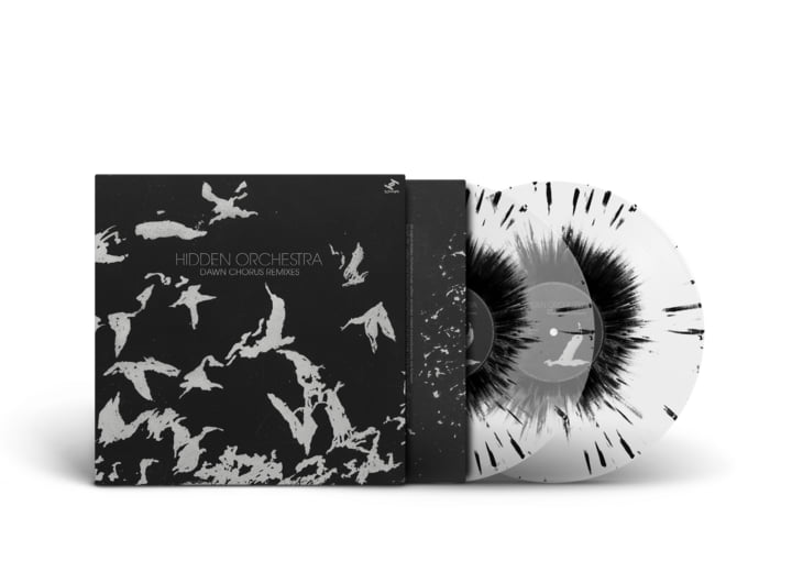 Dawn Chorus Remixes | Hidden Orchestra