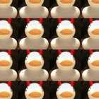greg elkin thumbnail