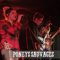 Poneys Sauvages image