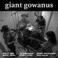 Giant Gowanus image