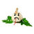 grumpygarlic thumbnail