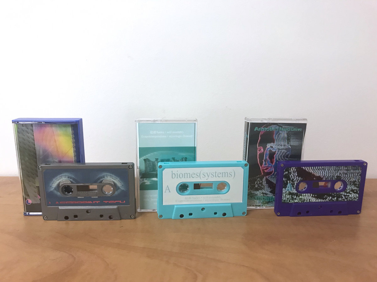 FEBRUARY CASSETTE BUNDLE | Night Light Tapes