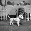 Love at the Hacienda | Graham Fellows