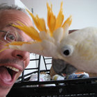 Gary Wingert thumbnail