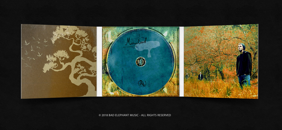 Where The Moonlight Snows | Mothertongue