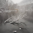 MCGDurham thumbnail