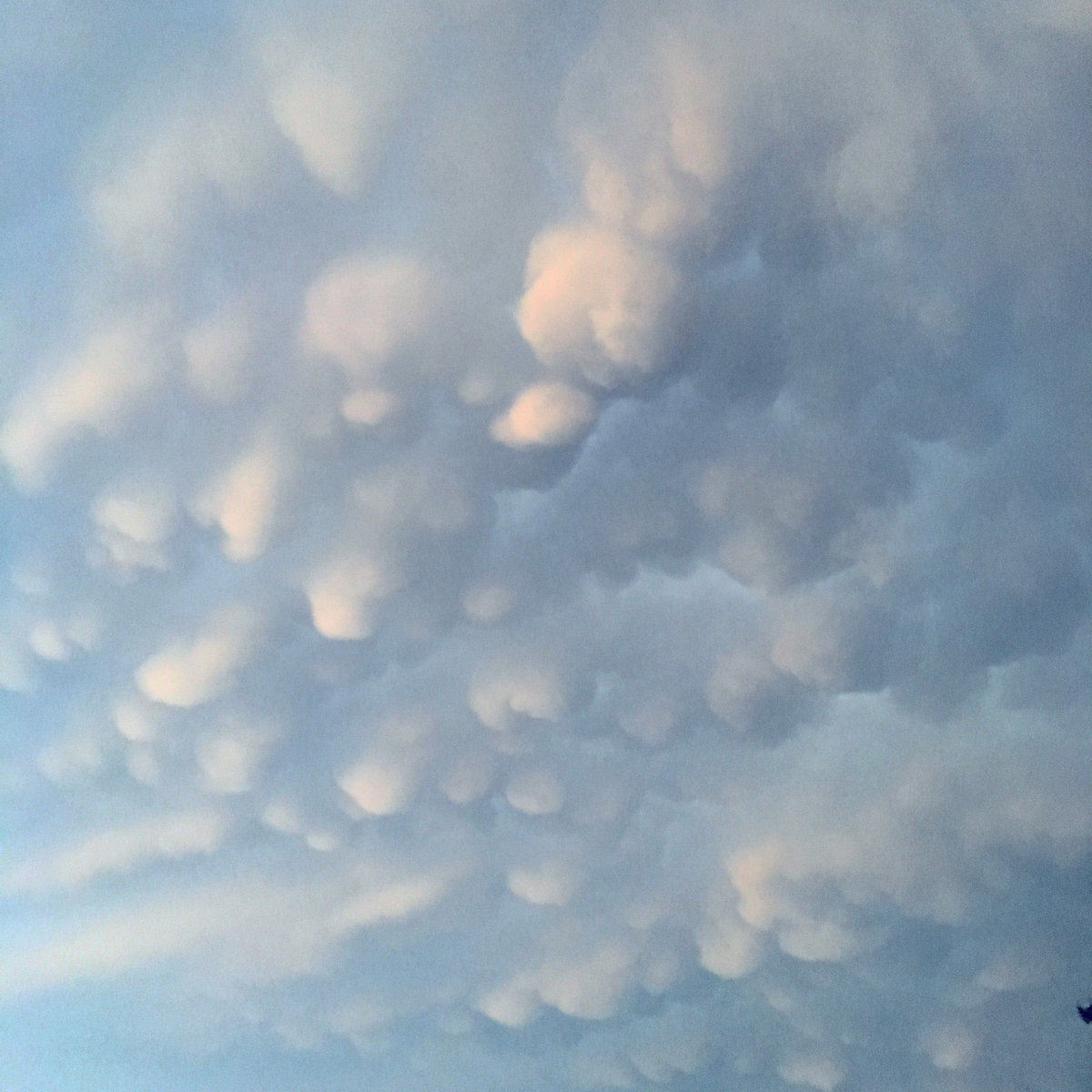 Dream of the Drowning Elk Aerial Toll House