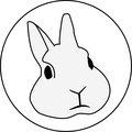holographic rabbit image