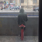 Georgică thumbnail