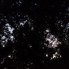 _mong thumbnail