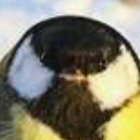 ssair thumbnail