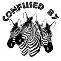 Confused By Zebras image