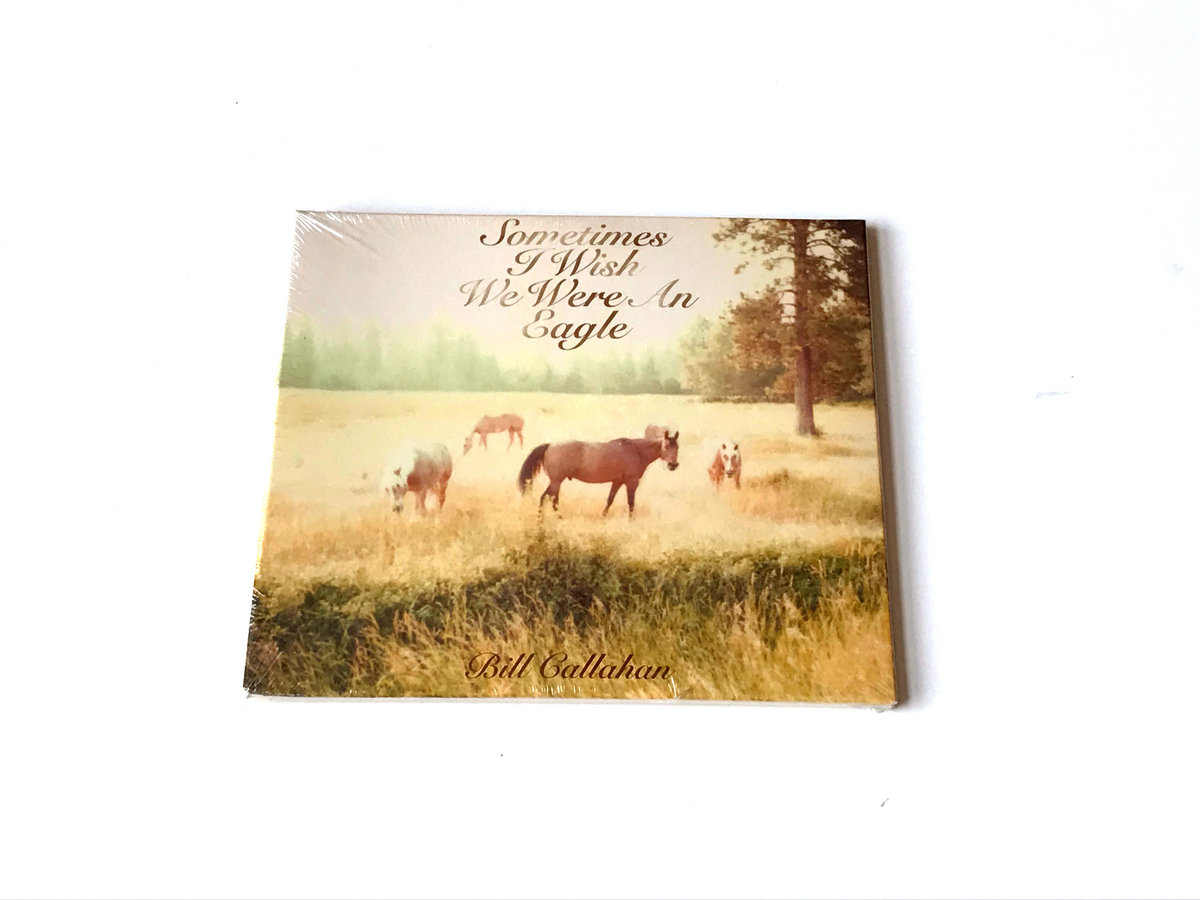Sometimes I Wish We Were An Eagle | Bill Callahan