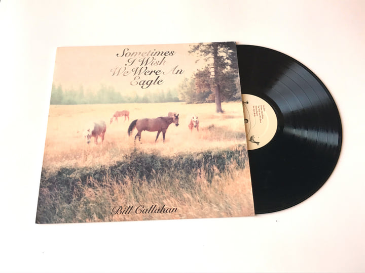 Bill Callahan - Sometimes I Wish We Were An Eagle | Drag City