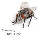 Speakerfly Productions image